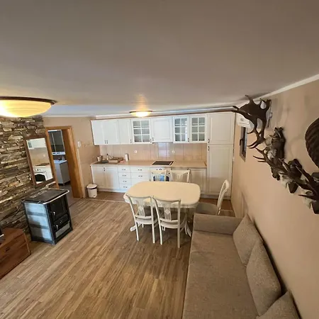 Semesterbostad Brvnara Petra Gornja Toplica